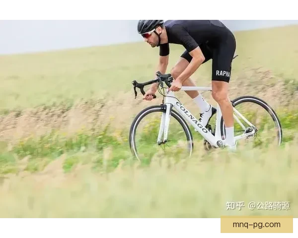 学习骑自行车的基本技巧和注意事项