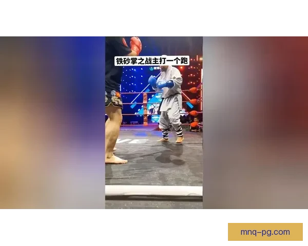 拳击风云：擂台对决，激情澎湃